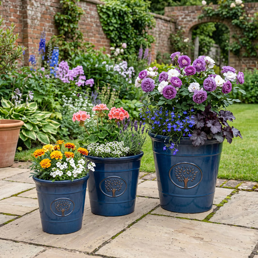 Creekwood Blenheim Blue (3x Sizes)
