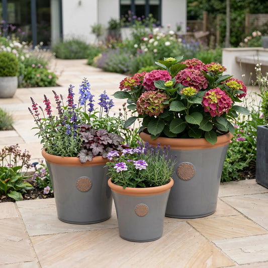 Creekwood Chatsworth Grey (3x Sizes)