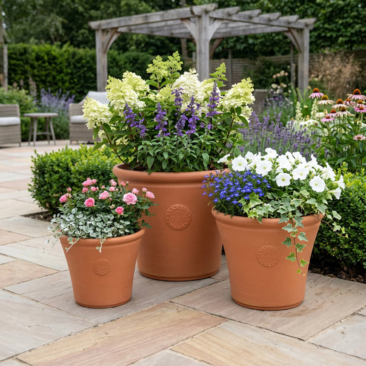 Creekwood Chatsworth Terracotta (3x Sizes)