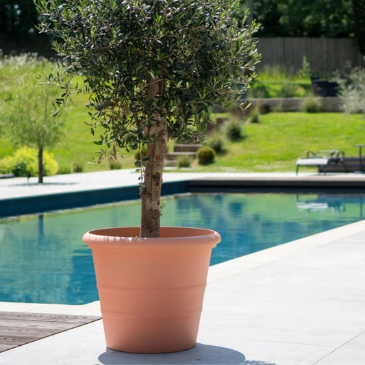 Creekwood Classico Terracotta