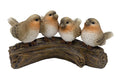 Robins on Tree Stump