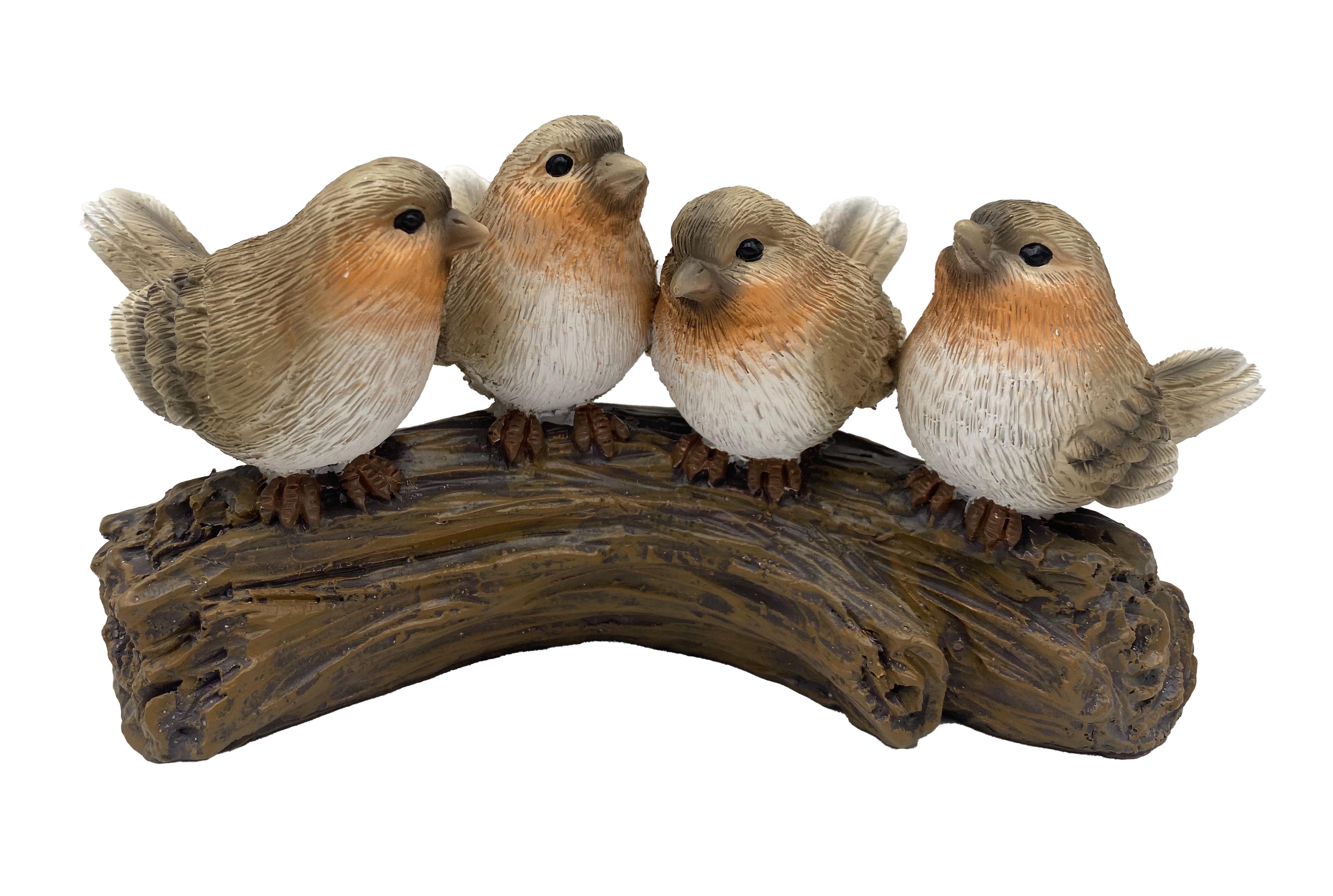 Robins on Tree Stump